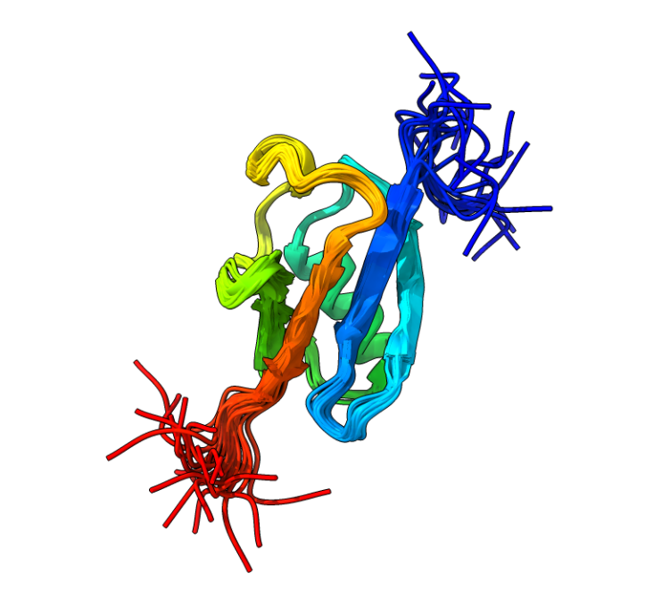 [ChimeraX] display NMR ensemble – KPWu's group research site